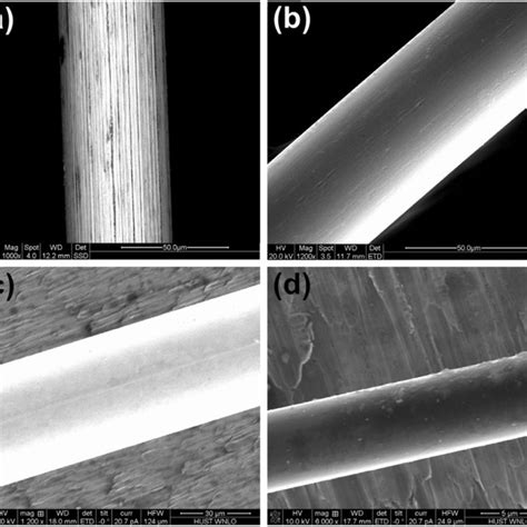 Direct measurement of torsional properties of single fibers